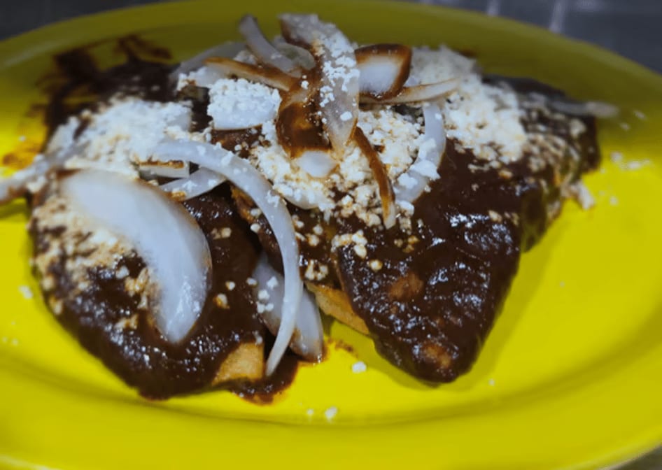 MOLE EMPANADAS.